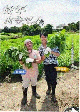 免费在线观看电影 哈哈哈哈哈3